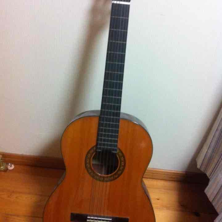 スズキ フォークギター