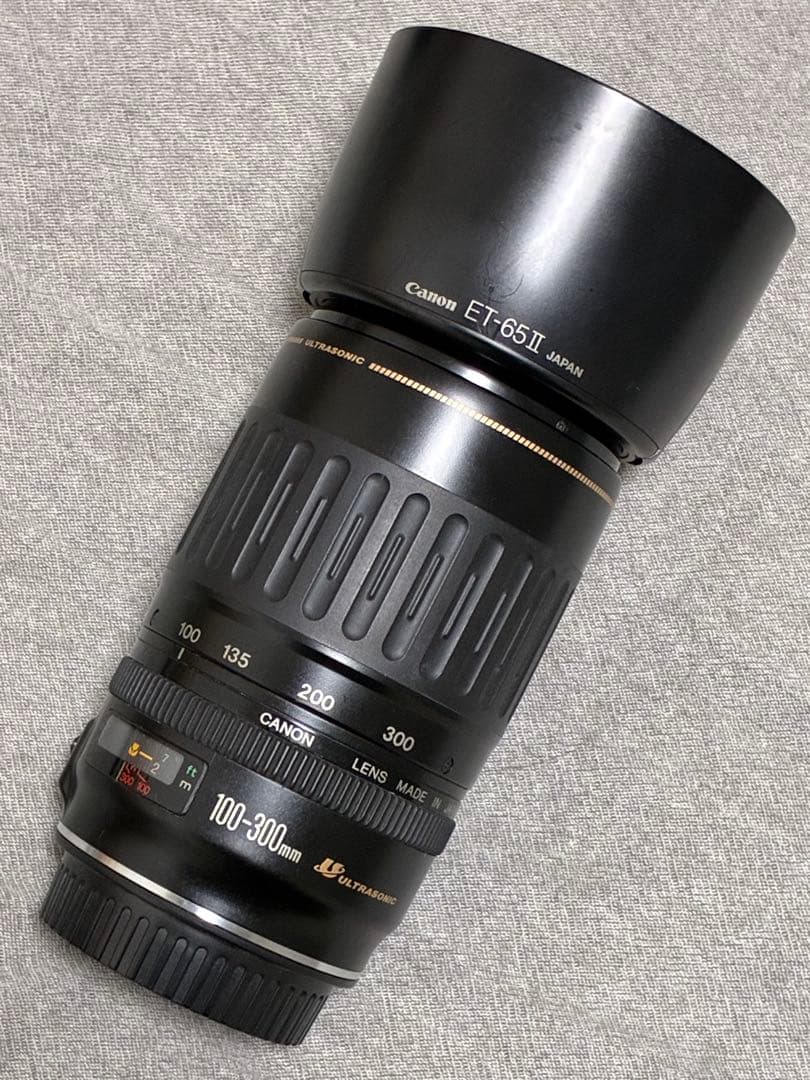 ⭐️美品⭐️キャノンCanon EF 100-300mm 4.5-5.6 USM