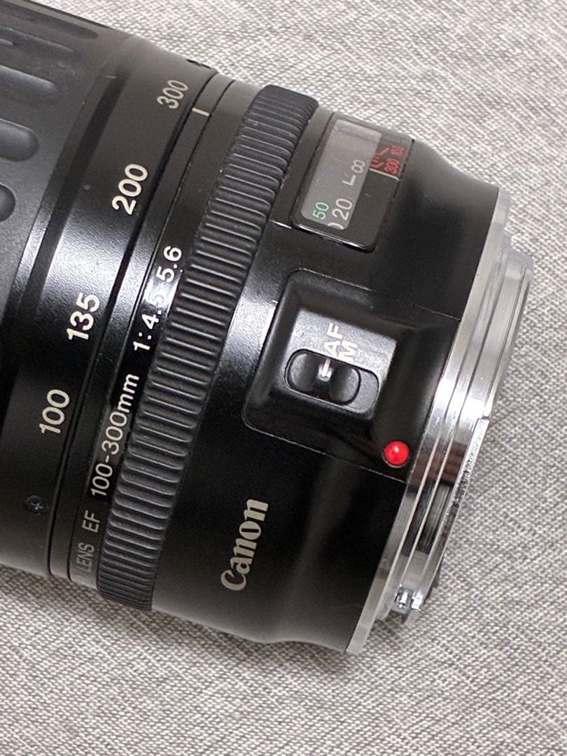 ⭐️美品⭐️キャノンCanon EF 100-300mm 4.5-5.6 USM
