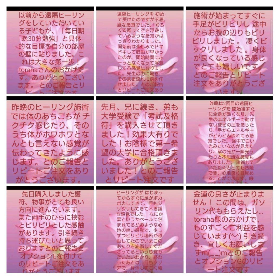 自分を変える☆オルゴナイトボールペン1本②＋替え芯2本（願い叶えるオイル封入）