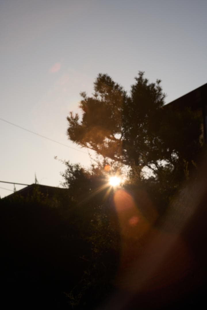 フィルムカメラ Olympus G.Zuiko Auto-S 40mm F1.4