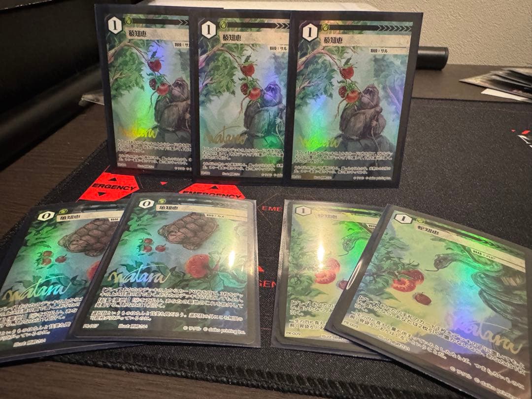 アニマルカードゲーム　ドローソースセット