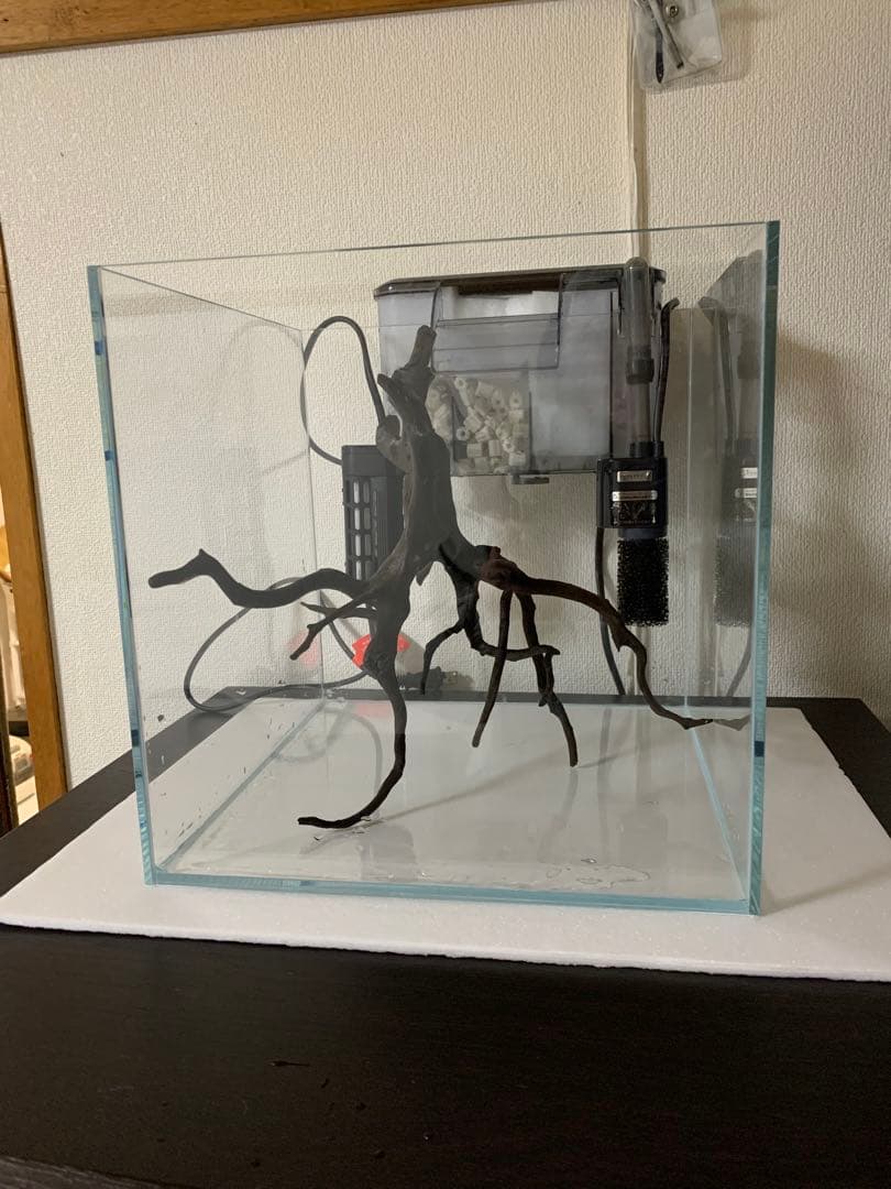 30cm 超透明ガラス水槽セット（流木付き）