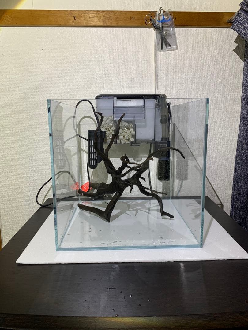 30cm 超透明ガラス水槽セット（流木付き）