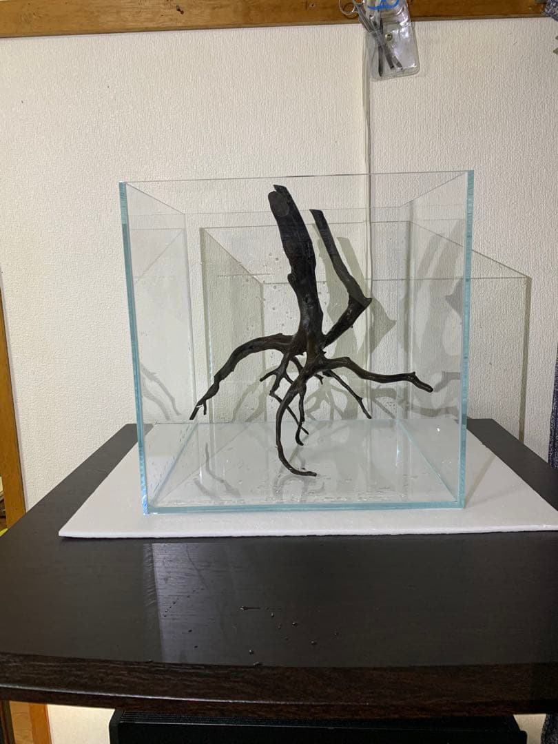 30cm 超透明ガラス水槽セット（流木付き）