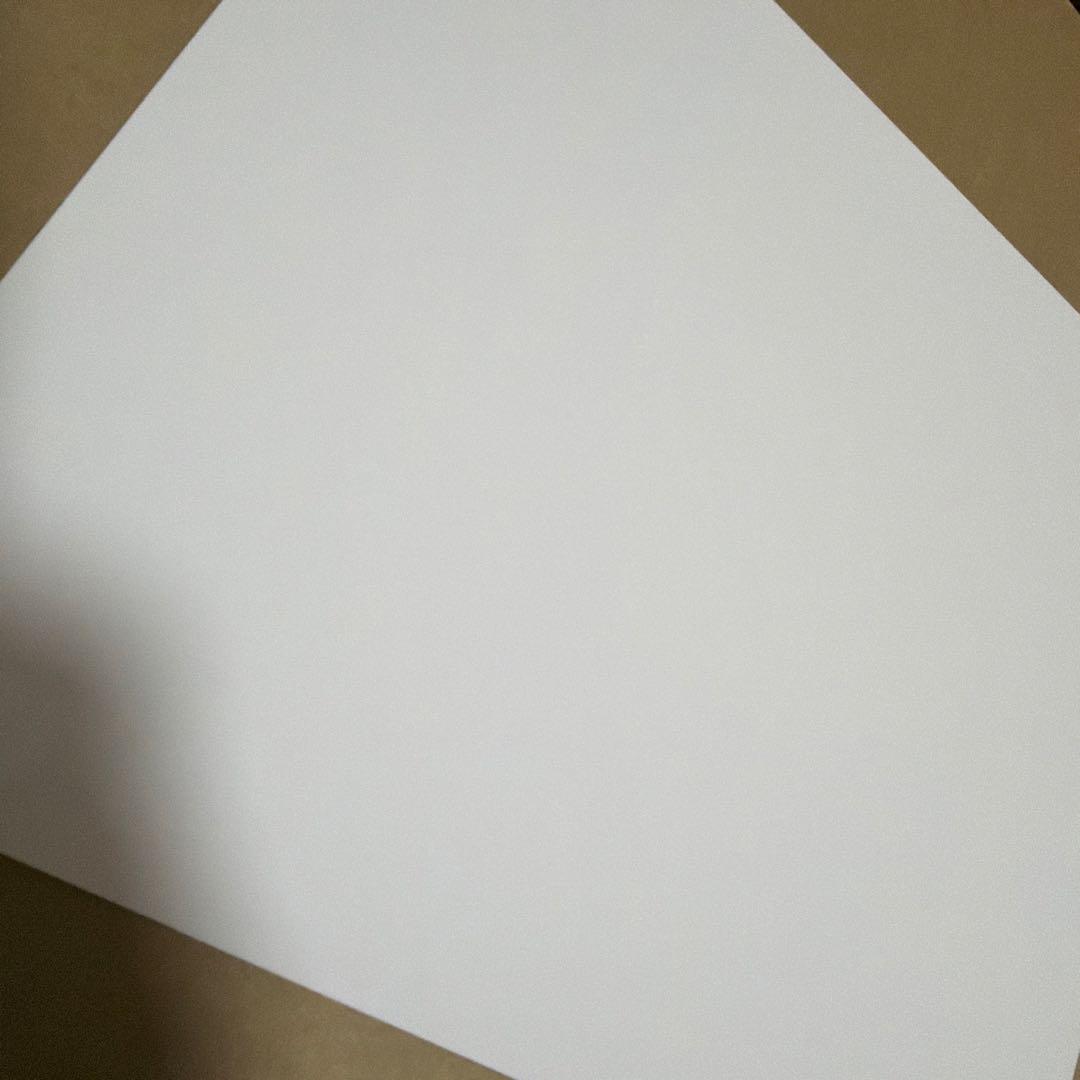 わ*ど様 ハズビンホテル ヘルヴァボス 作者 直筆サイン ポスター フィズ