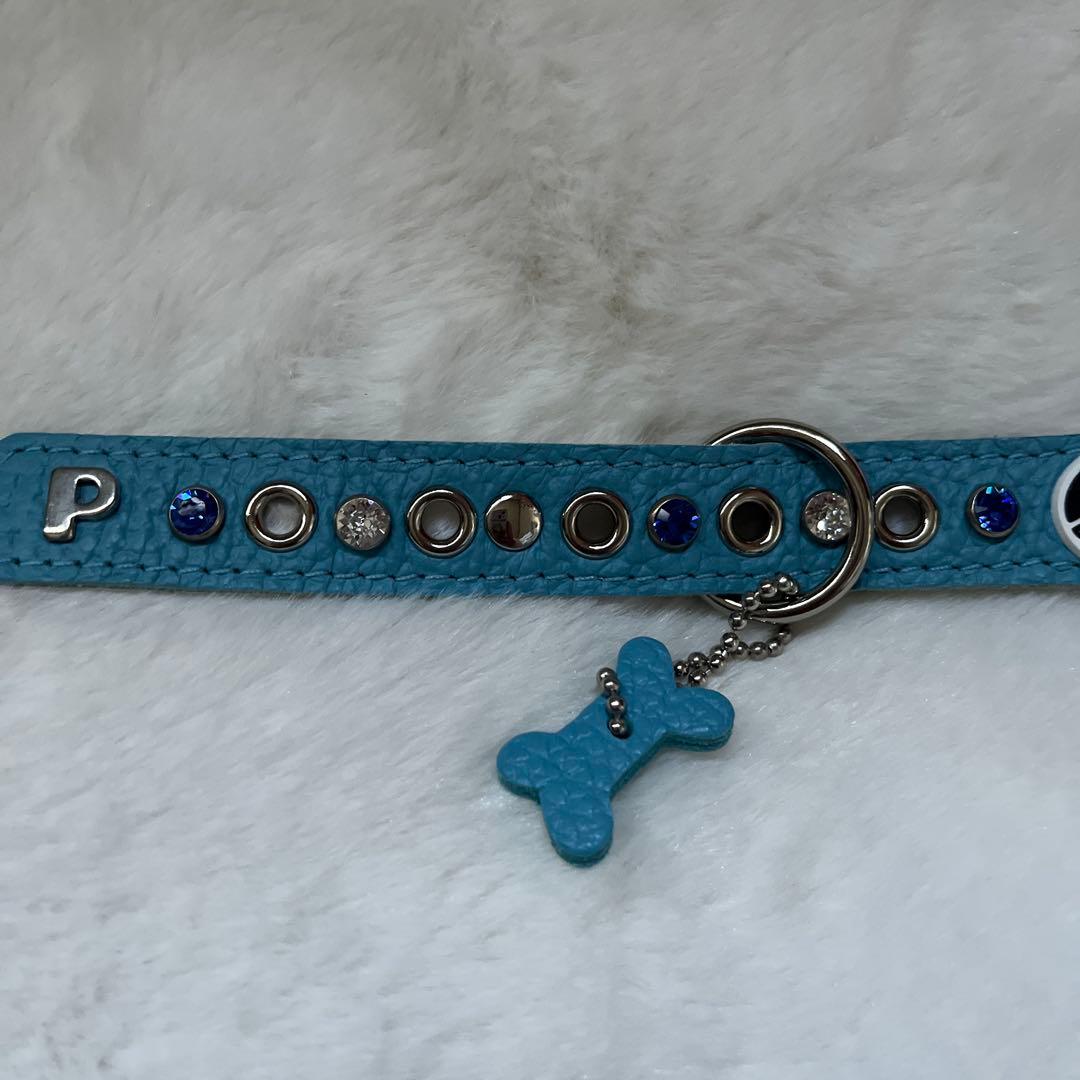 BUDDY BELT バディベルトBLUE 3号 カスタマイズクリスタル付