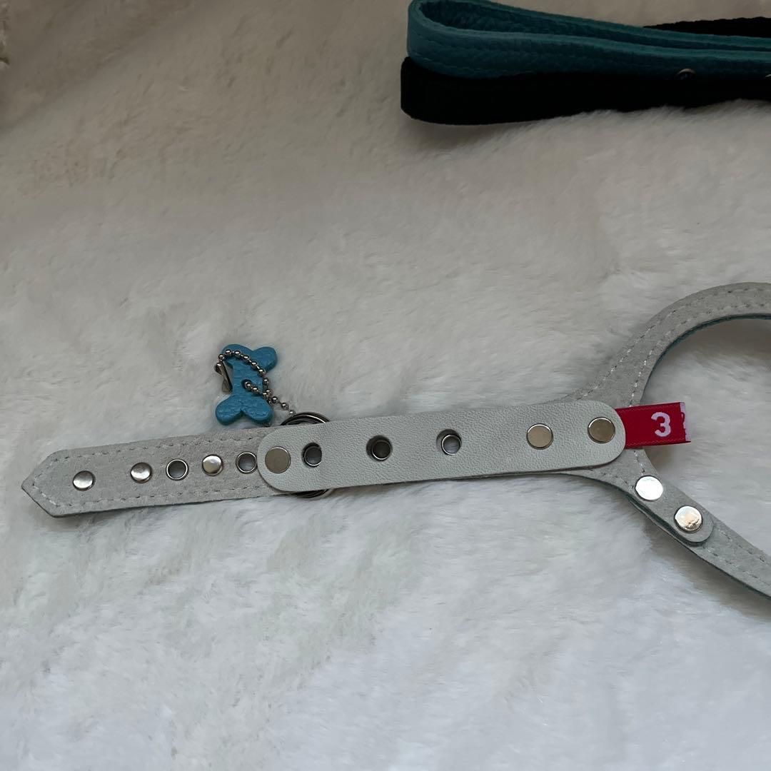 BUDDY BELT バディベルトBLUE 3号 カスタマイズクリスタル付