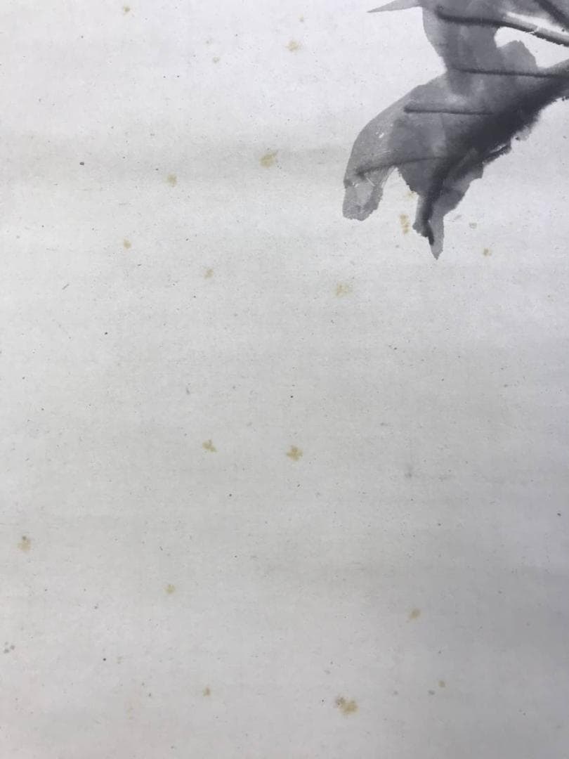 真作/藤井松山/黒牡丹図/牡丹図/花図/掛軸/名家伝来/AD-947