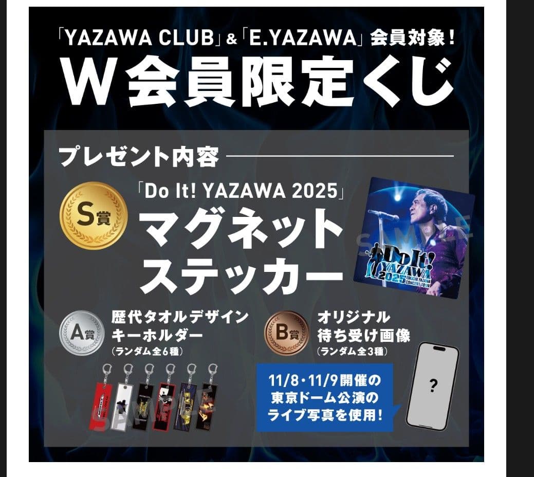 矢沢永吉 Wメンバー 会場限定抽選 当選品 レア