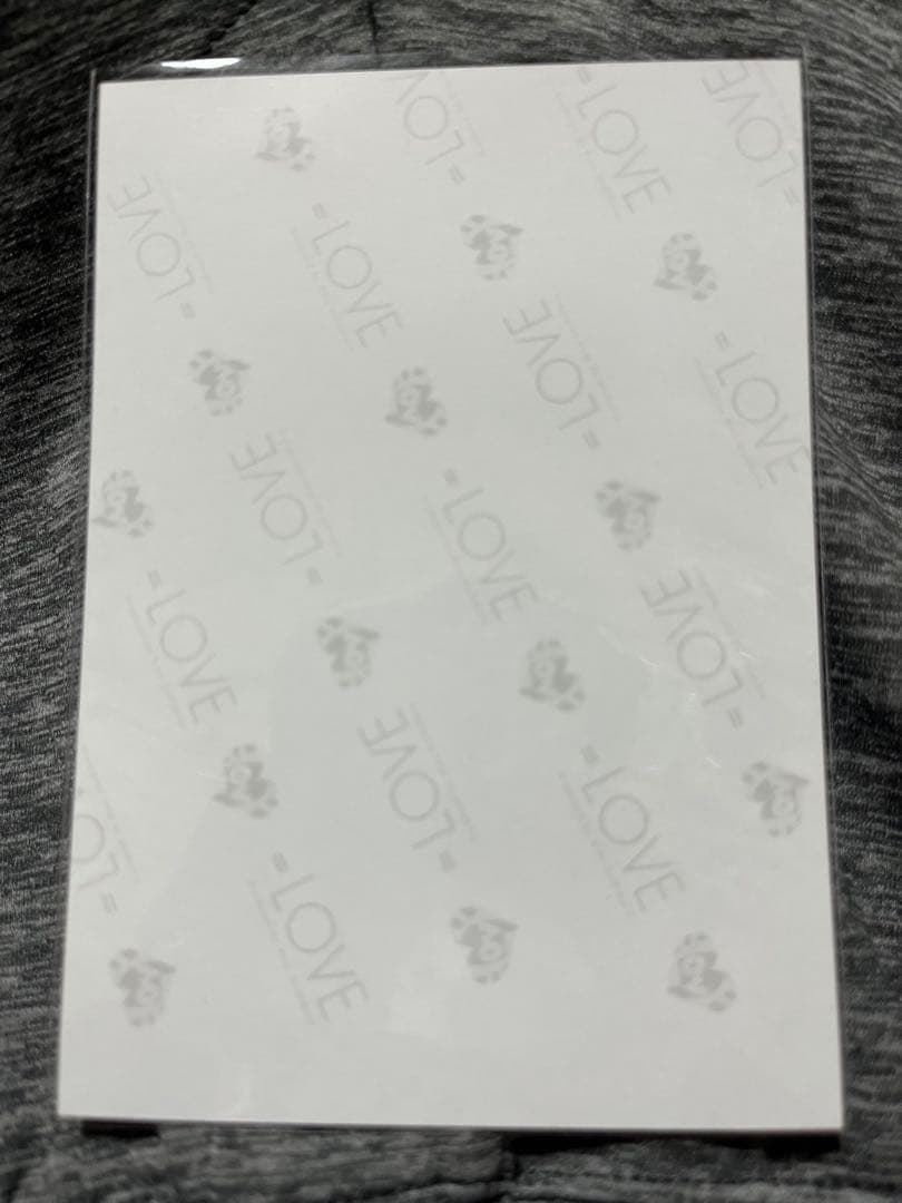 野口衣織 狂想カタストロフィ ヨリ 直筆