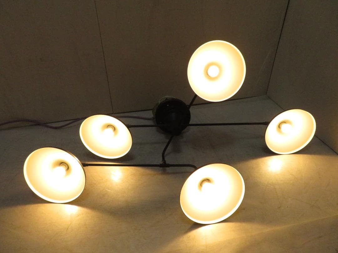 Roanoke ロアノーク シーリングライト 5灯 LED照明 可動式 モダン