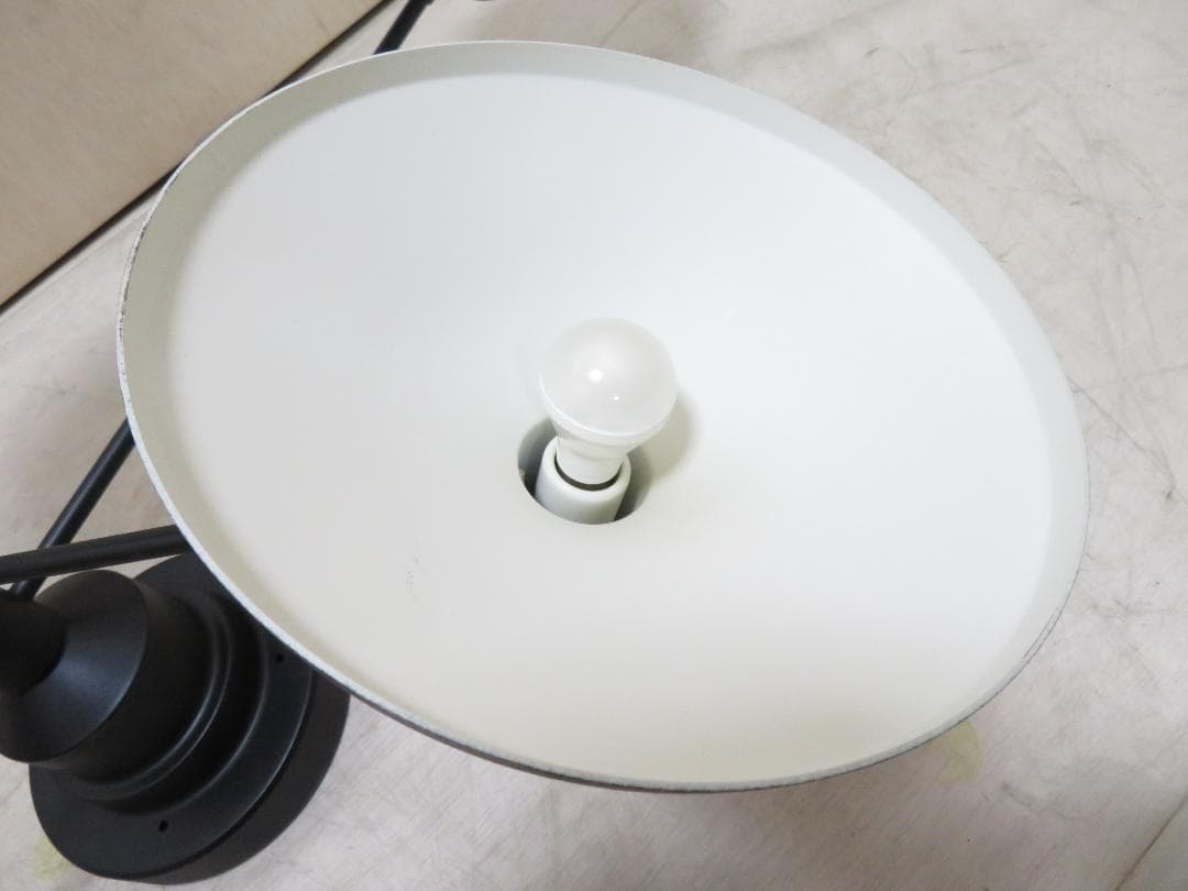 Roanoke ロアノーク シーリングライト 5灯 LED照明 可動式 モダン