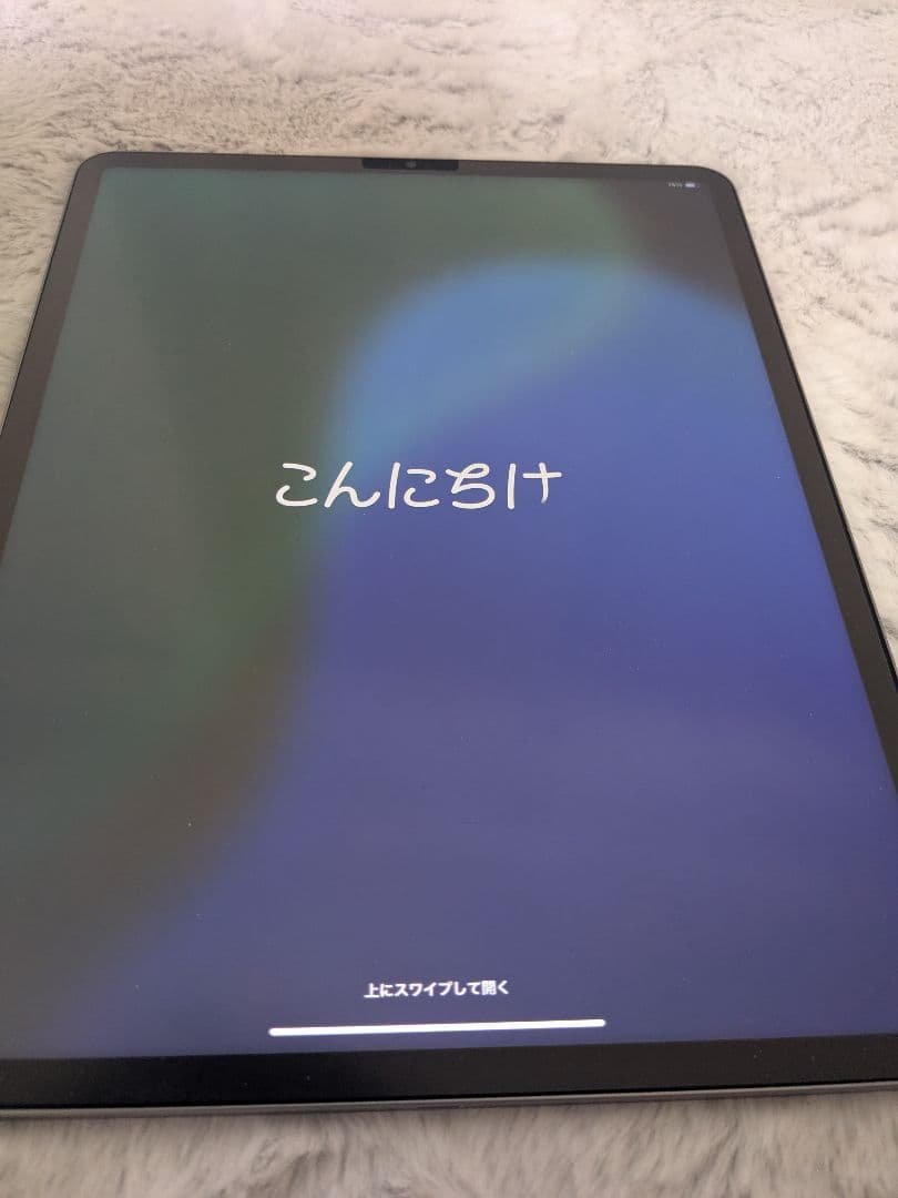 【専用】第6世代Apple iPad Pro12.9 256GB+ApplePe