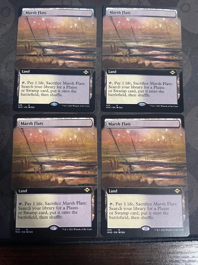 湿地の干潟 英語 拡張 4枚セット