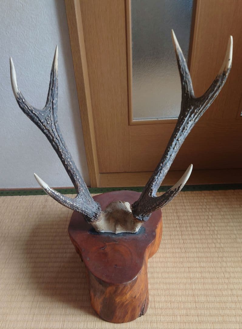 鹿の角 インテリア装飾品