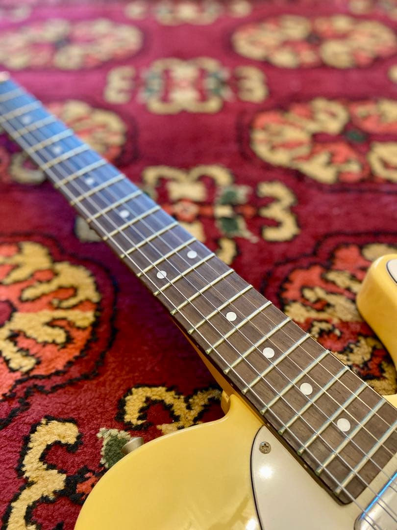 Bacchus Universe Series テレキャスター