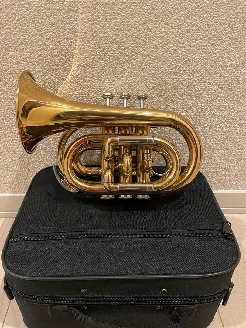 ❗️タイムSALE❗️ポケットトランペット マウスピース付き