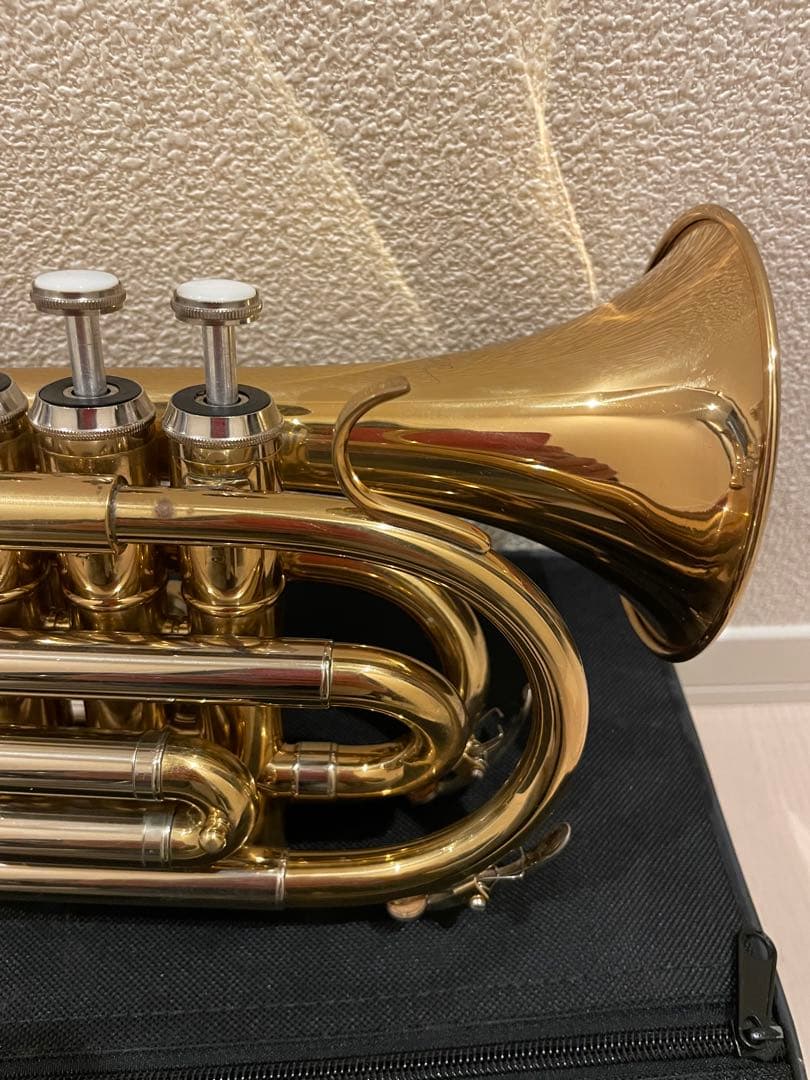 ❗️タイムSALE❗️ポケットトランペット マウスピース付き