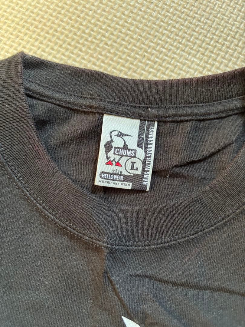 DREAMS COME TRUE コンサートツアースタッフTシャツ 非売品