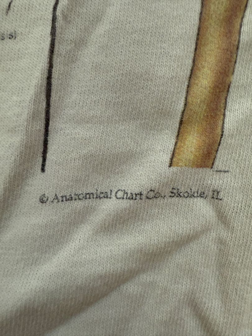 N*A様 解剖図　anatomical chart L カードコバーン ニルバー