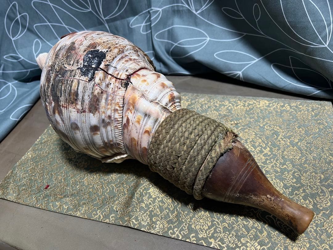 ほら貝 法螺貝 和楽器 貝殻製の楽器