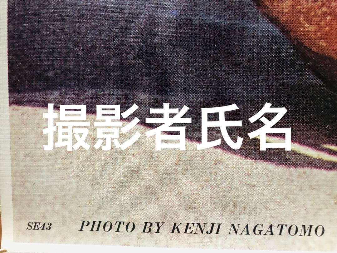 希少！妖艶美！アグネス・ラムポスター　ハワイの美女！1976年大ブレイクの女神