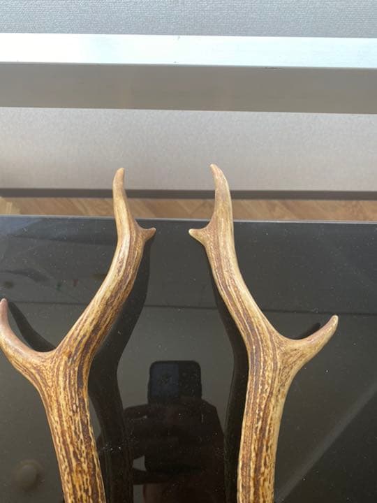 刀など、飾り用鹿の角