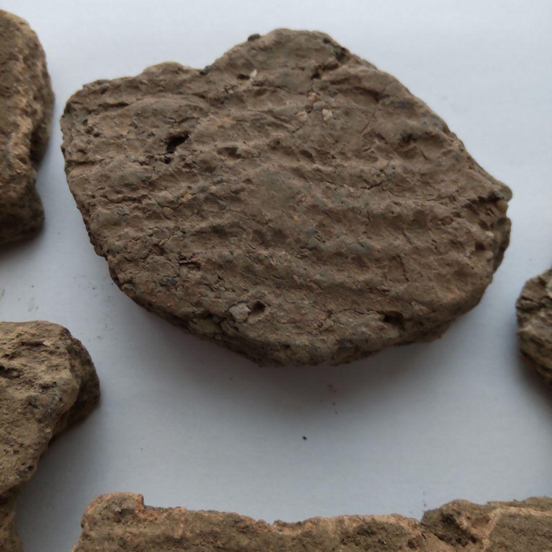 ★本物の縄文土器★(新潟県出土)⑬、5点