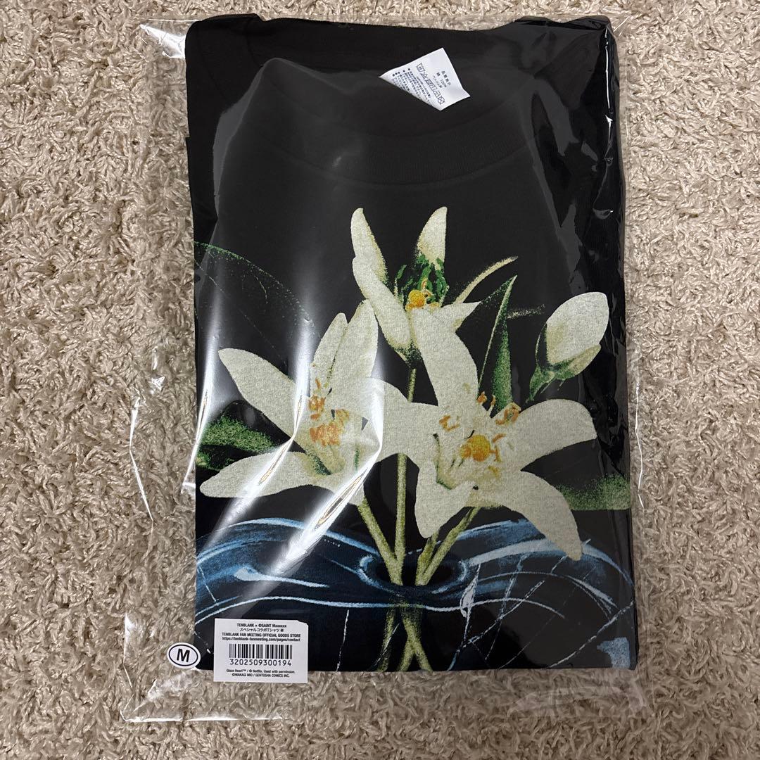 TENBLANK Tシャツ　セントマイケルコラボ 佐藤健 テンブランク Mサイズ