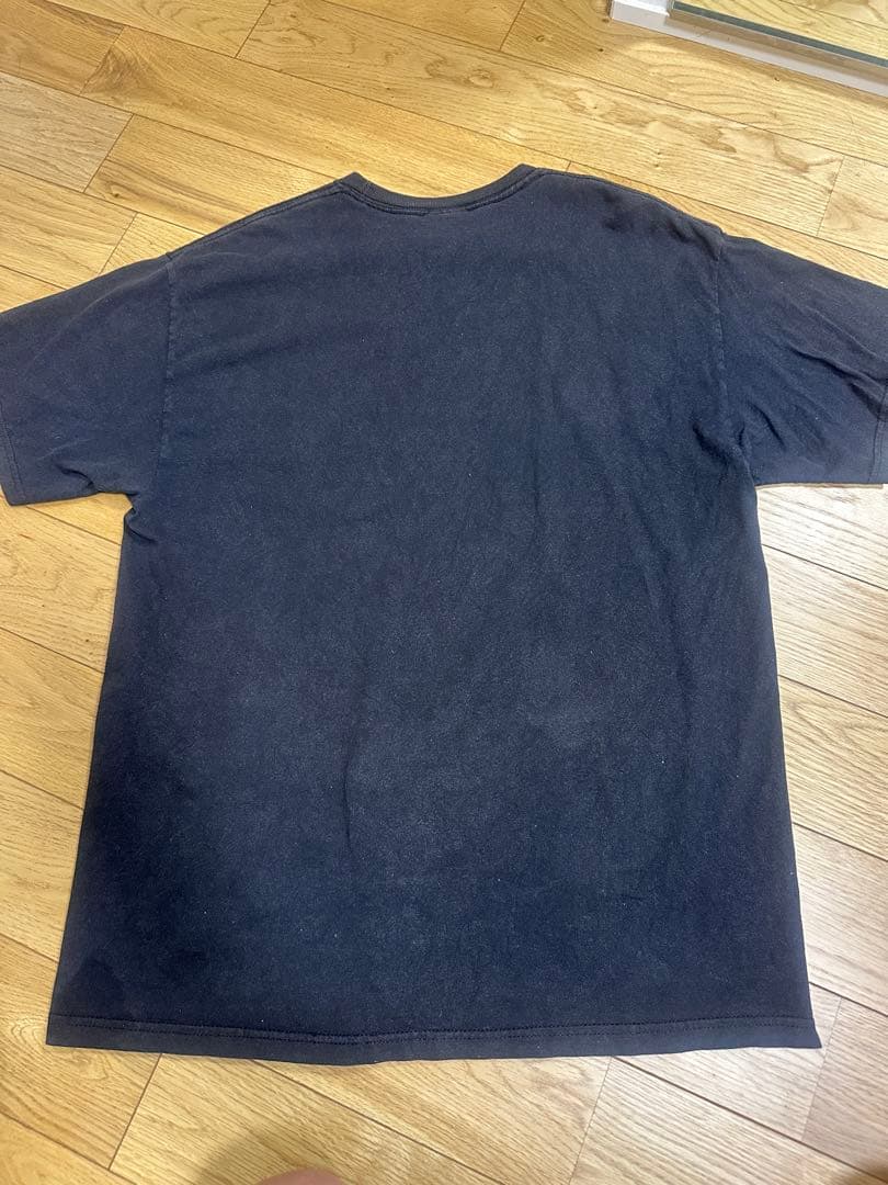 Red Hot Chili Peppers バン T Tシャツ レッチリ