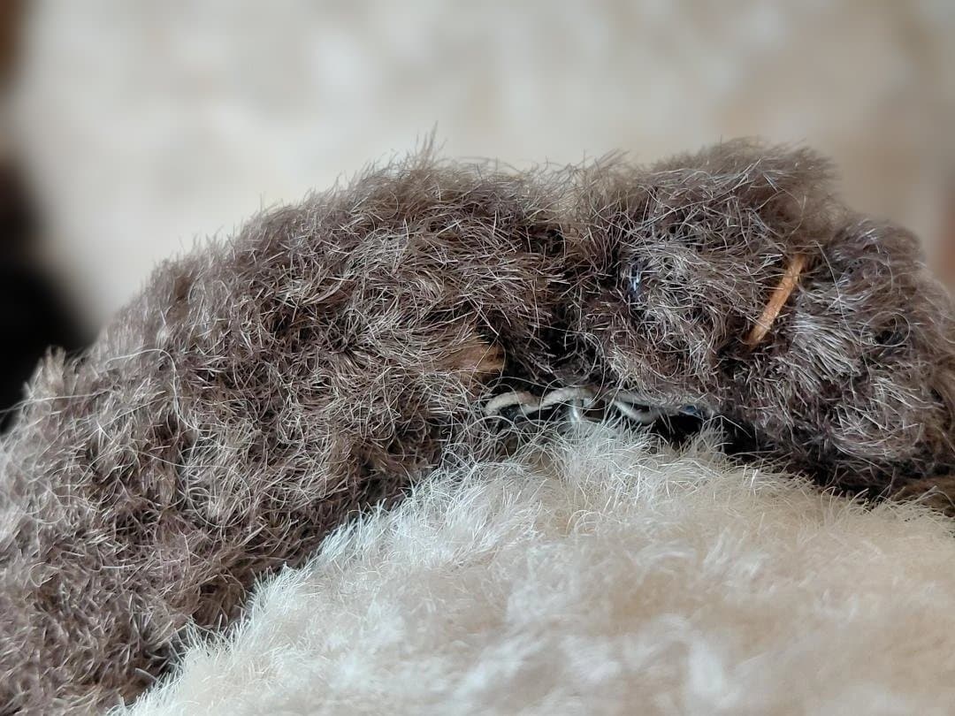 【ぬいぐるみセット ６体】 クマとウサギ