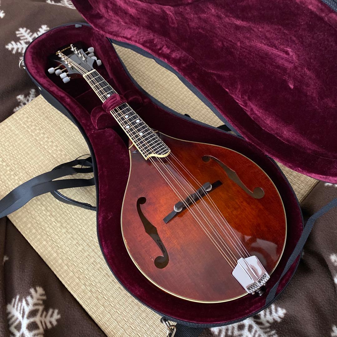 Eastman MD-505/A.Red フラットマンドリン メンテナンス前提で