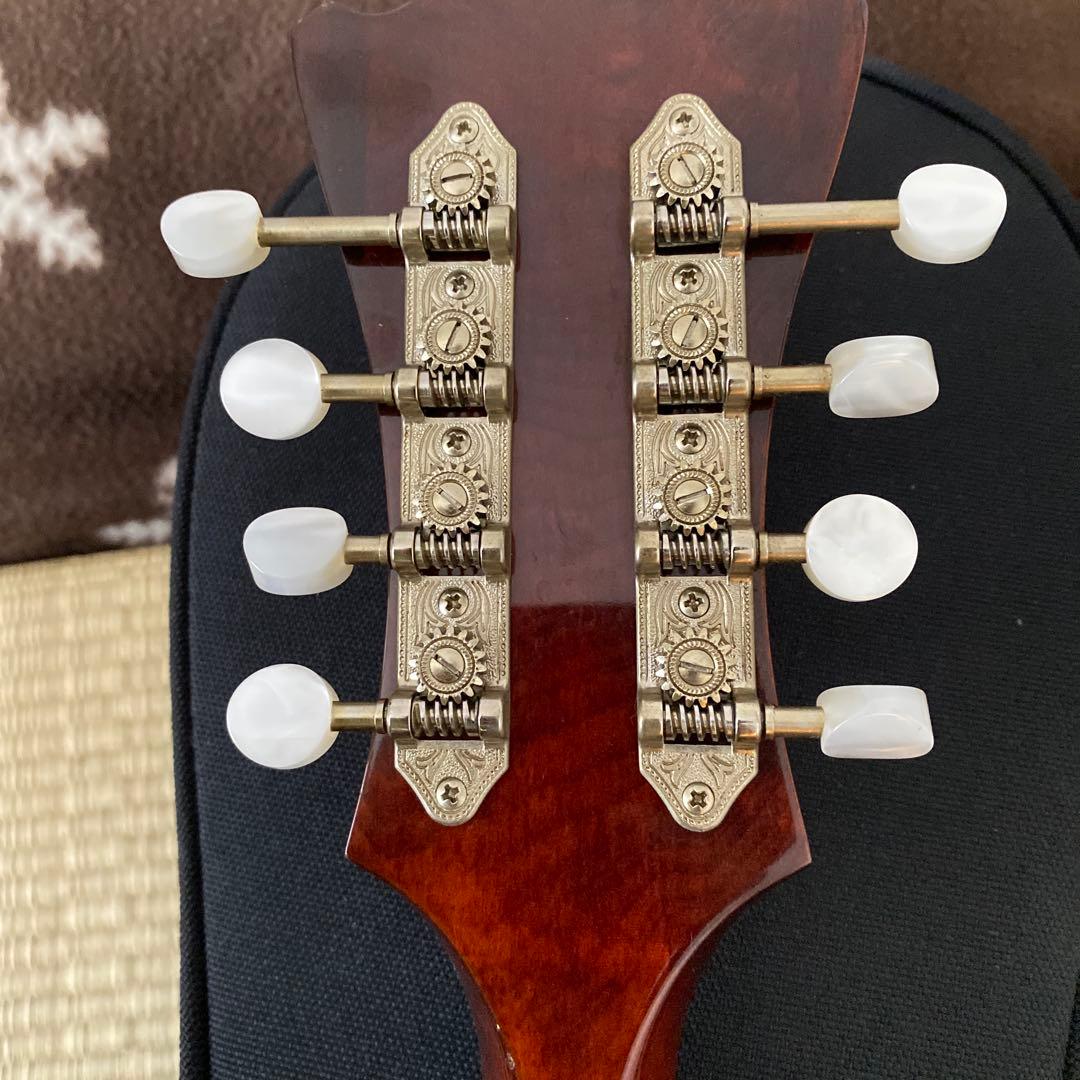 Eastman MD-505/A.Red フラットマンドリン メンテナンス前提で