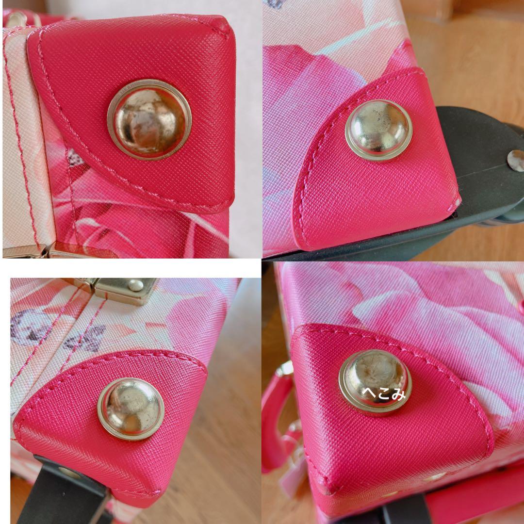 EmiriaWiz キャリーケース エミリアウィズ トロッター 愛沢えみり