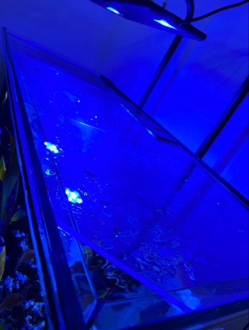 RedSea REEFER 350 海水魚飼育フルセット レッドシー