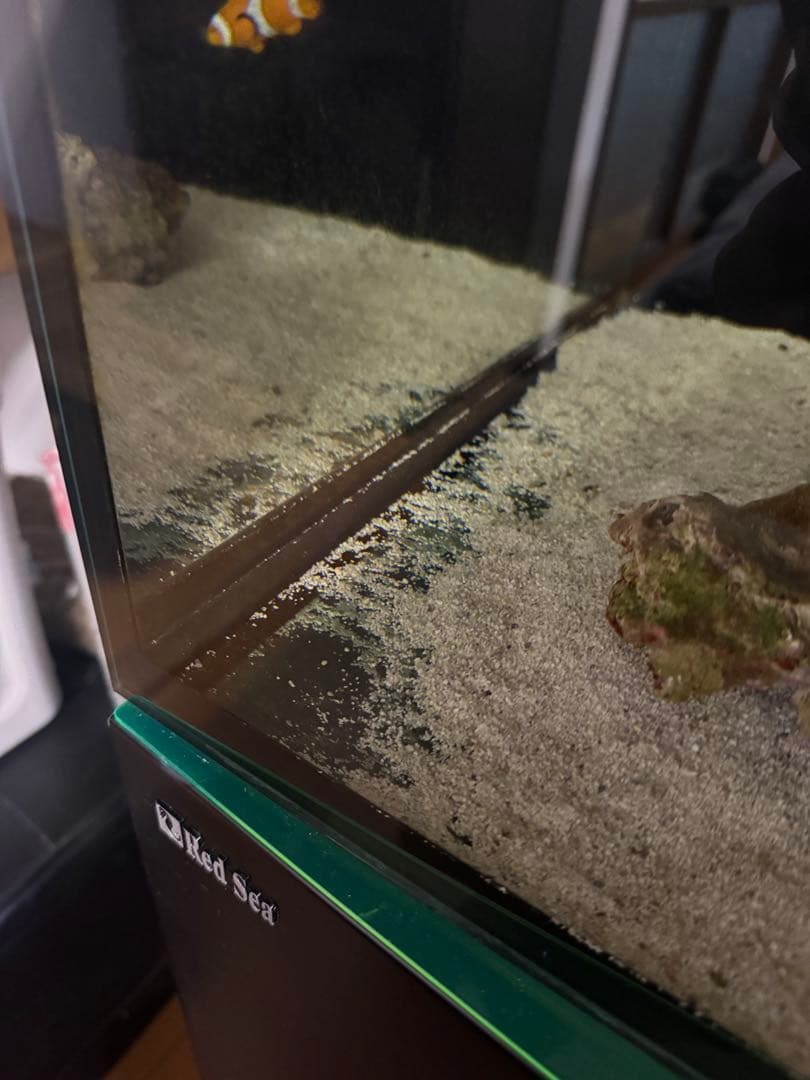 RedSea REEFER 350 海水魚飼育フルセット レッドシー