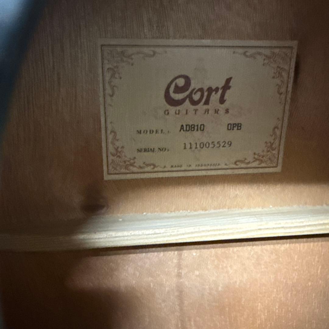 CORT アコースティックギター【黒】シリアル111005529