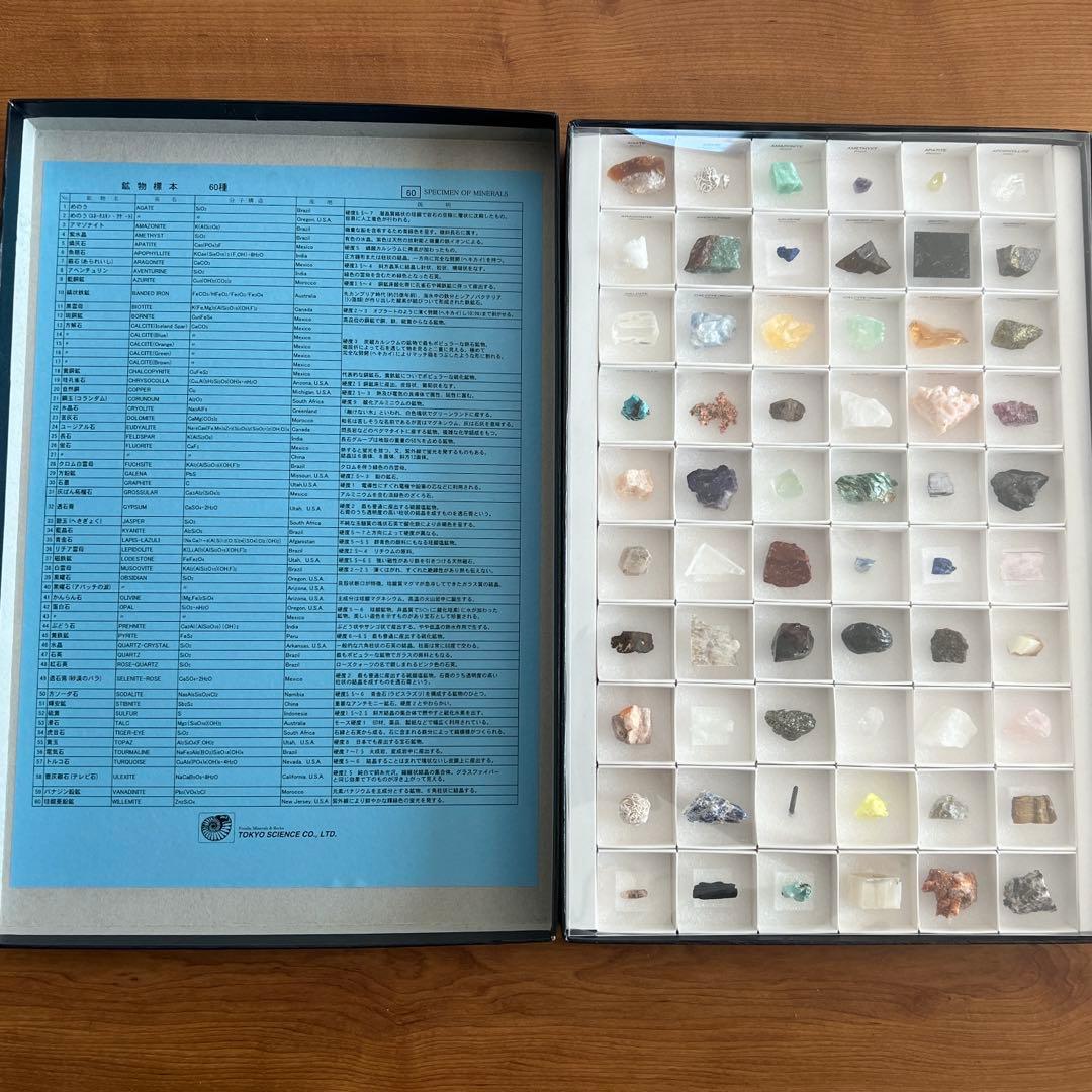 お値下げ‼️早い者勝ち‼️特大版‼️世界の鉱物標本60種