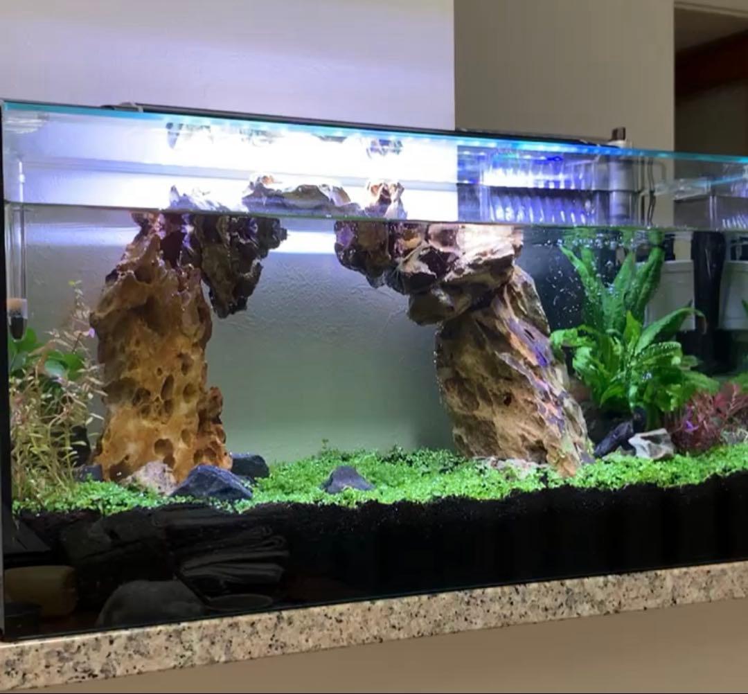 お値下げ☆ 水槽用自然石（気孔石）セット 11個　岩組みレイアウトに☆