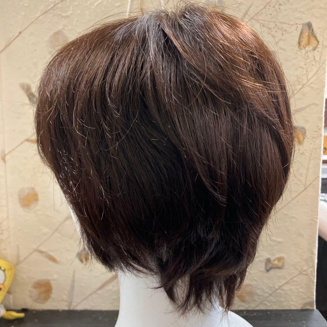 新品医療用ウィッグ ショートヘア ブラウン 総手植え RINGSJapan