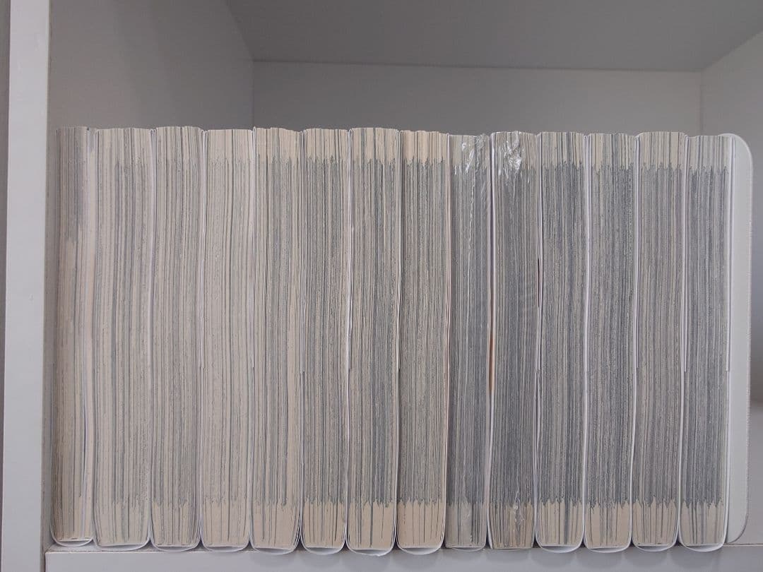 メタリスト 13巻+公式ファンブックセット つるまいかだ