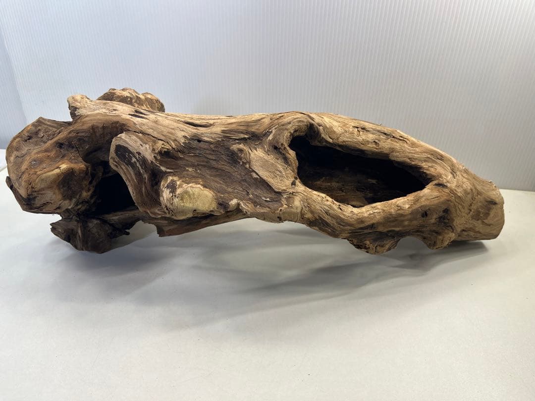 R63アク抜き済み流木 爬虫類シェルター 登り木 インテリア 生け花