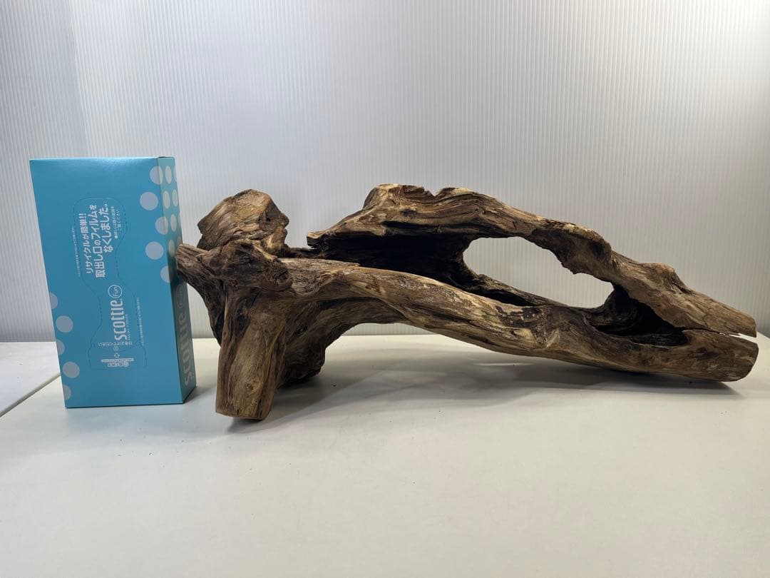 R63アク抜き済み流木 爬虫類シェルター 登り木 インテリア 生け花