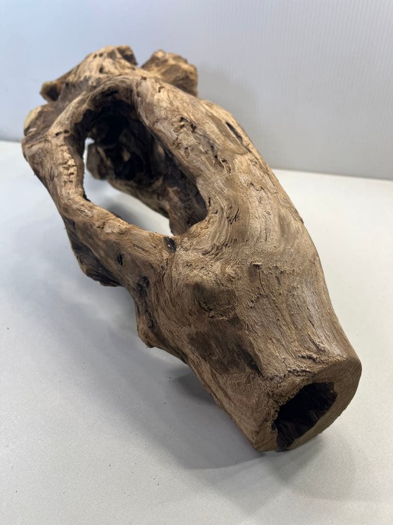 R63アク抜き済み流木 爬虫類シェルター 登り木 インテリア 生け花