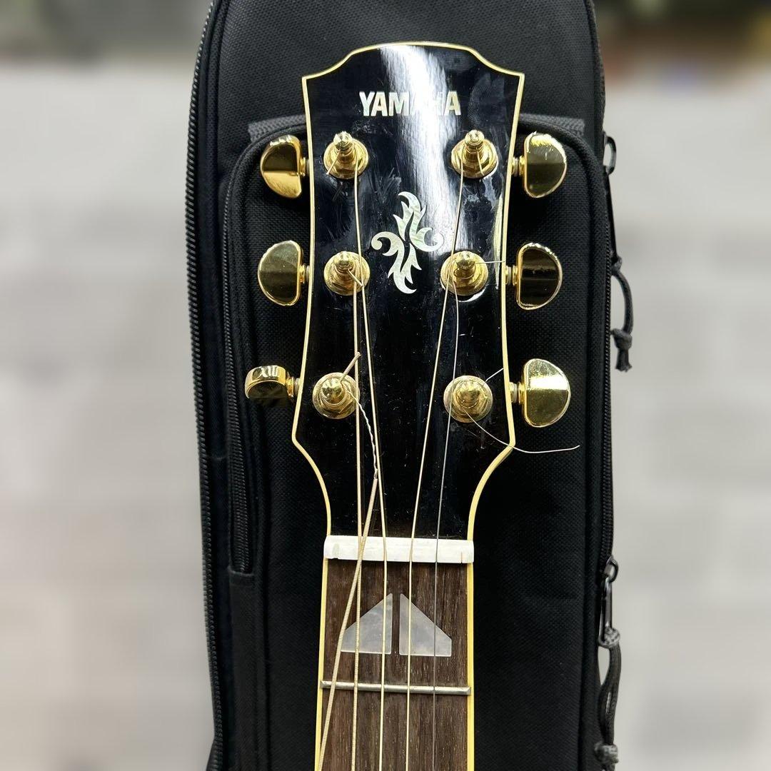 6828 APX1000(PW) ヤマハ エレアコ パールホワイト ソフトケース