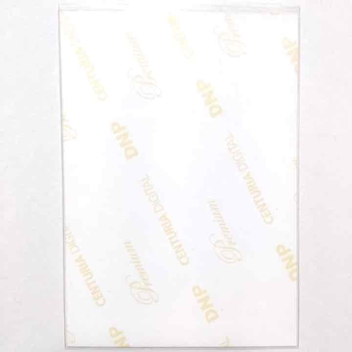 乃木坂46 白石麻衣 制服のマネキン 楽曲衣装 生写真 ヨリ