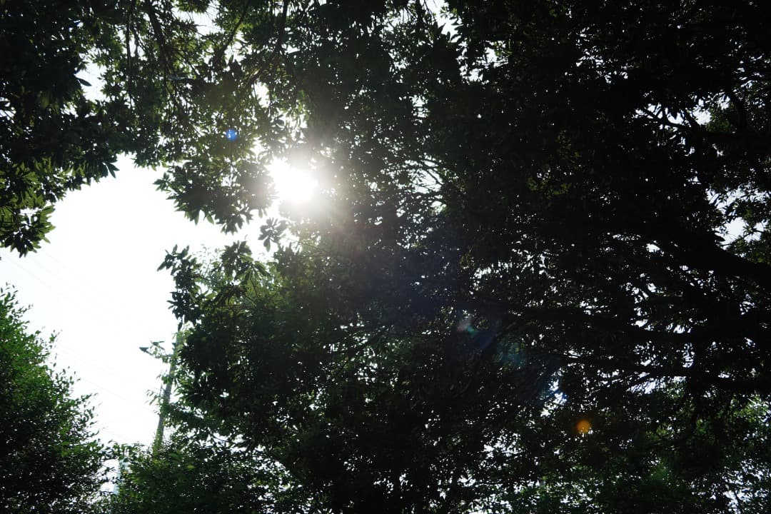 【美品】TAMRON 18-300mm 高倍率ズーム 手振れ補正 ソニーE