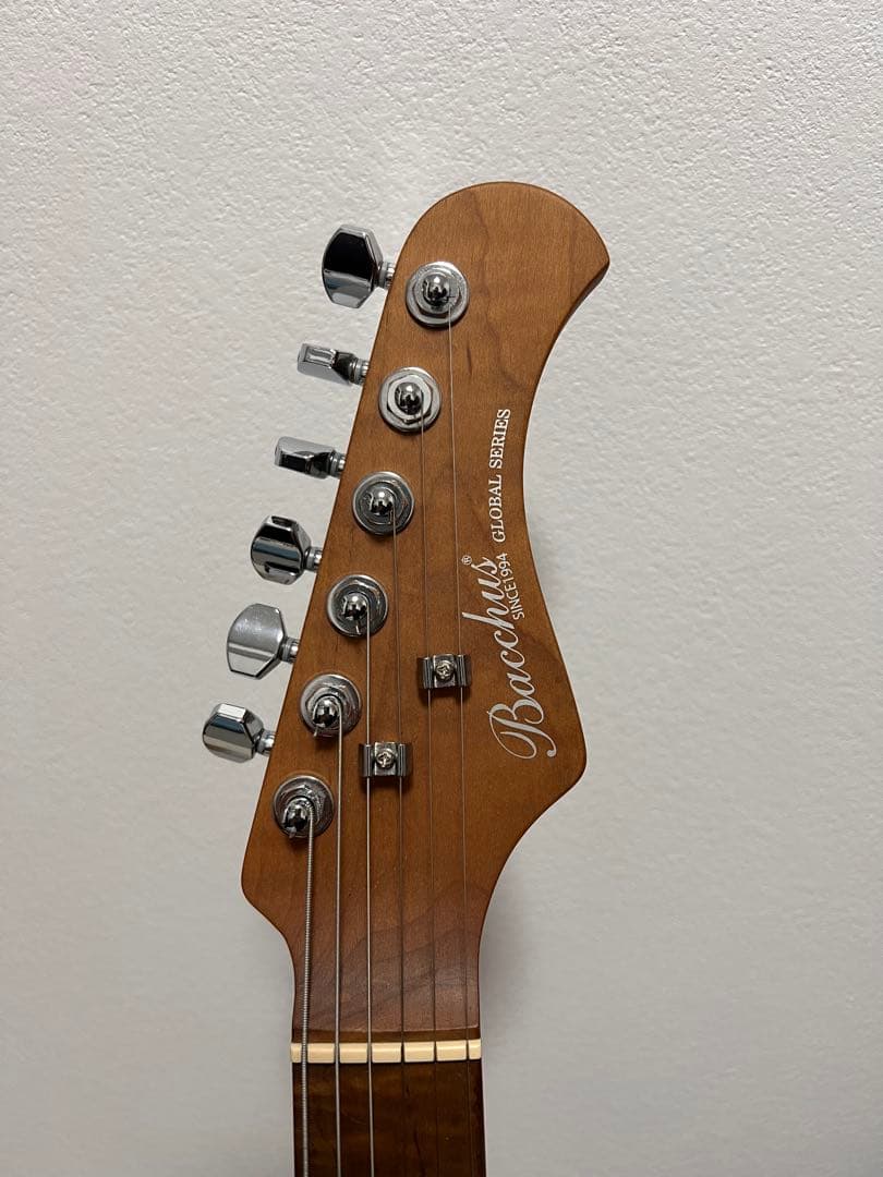 バッカス　BSH-850 /RSM S-SW 最終値下げ！