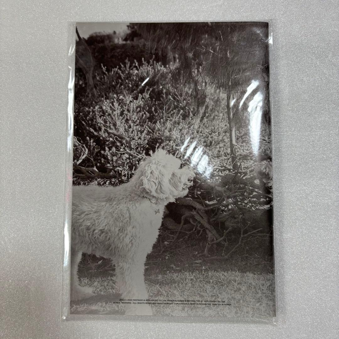 ASTRO ムンビン ユンサナ MAGAZINE 写真集 トレカ ②